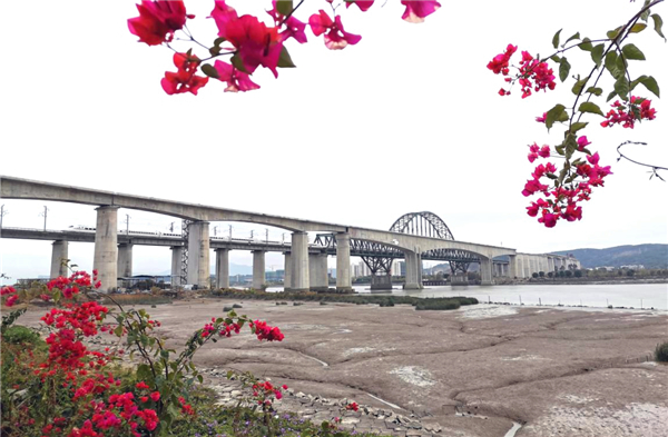 1.中铁十八局集团二公司承建的福平铁路闽江特大桥(伍振 摄).jpg